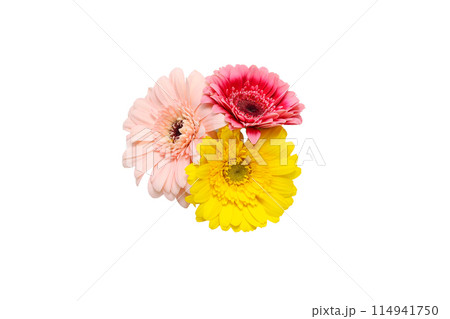 白背景のガーベラの花束 白背景のガーベラの花束 114941750