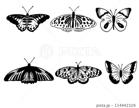 Monochrome butterfly silhouette cut out black set Monochrome butterfly silhouette cut out black set 114942329
