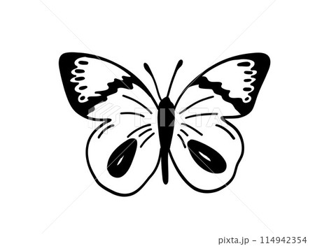 Monochrome butterfly silhouette cut out black 114942354