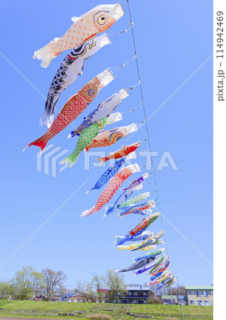 鯉のぼり 114942469