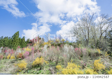 福島 花やしき公園(福島市) 福島 花やしき公園(福島市) 114942587