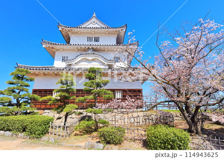 【香川県】桜咲く春の丸亀城（現存天守と石垣の名城） 114943625