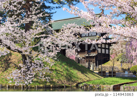 弘前城 春の朝 桜と東門 青森県 弘前城 春の朝 桜と東門 青森県 114943863