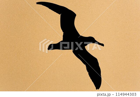 silhouettes of bird albatross, albatross silhouette vector illustration 114944303