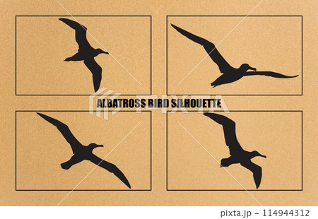 set of silhouettes of bird albatross, albatross bird silhouette vector illustration 114944312