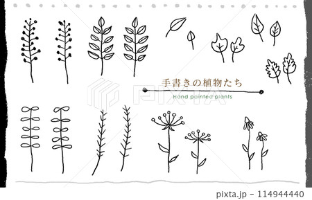 手書きの植物たち（線画）のイラスト素材 [114944440] - PIXTA