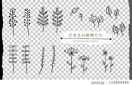 手書きの植物たち（線画）のイラスト素材 [114944440] - PIXTA