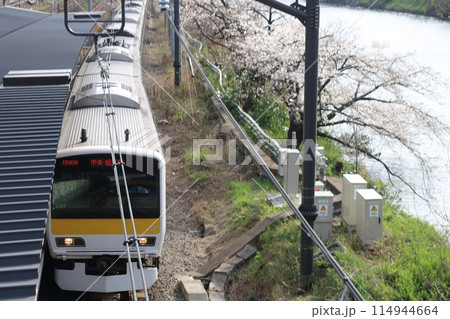 桜咲く線路から見える風景 114944664