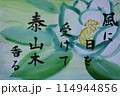 俳画　風に日を受けて泰山木香る 114944856