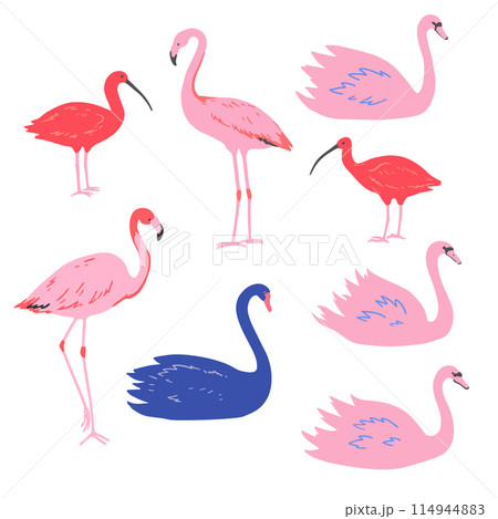 Set of pink flamingo and swans and red ibis in minimalistic style. Vector illustration. Set of pink flamingo and swans and red ibis in minimalistic style. Vector illustration. 114944883