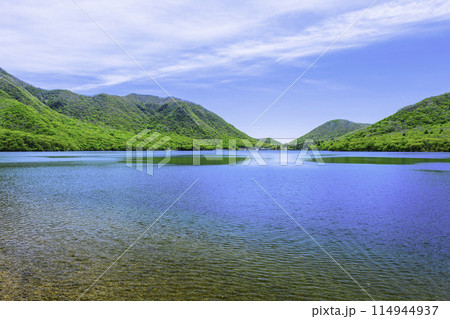 新緑の赤城大沼と鳥居峠 114944937