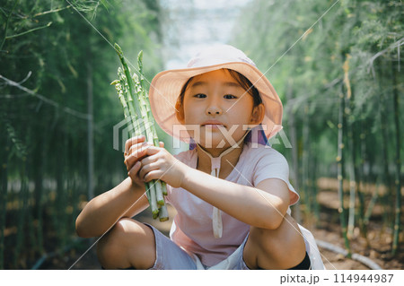 野菜の収穫を楽しむ子供 114944987