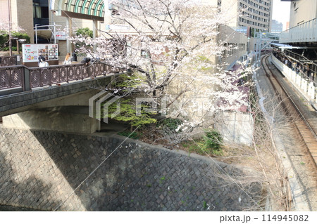 飯田橋付近のビルのある春の風景 114945082