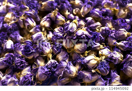 紫色をした花の蕾で作られたドライフラワー 114945092