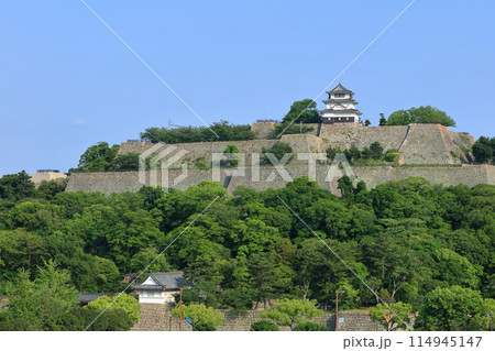 【香川県】日本一高い石垣が見事な丸亀城 114945147
