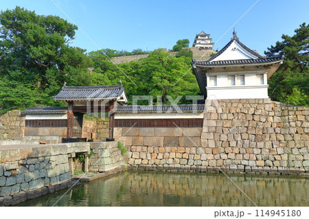 【香川県】快晴の丸亀城と大手門 114945180