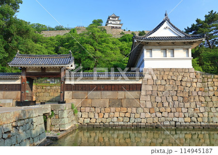 【香川県】快晴の丸亀城と大手門 114945187