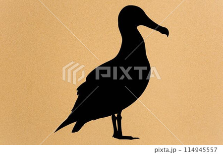 silhouettes of bird albatross, albatross silhouette vector illustration 114945557
