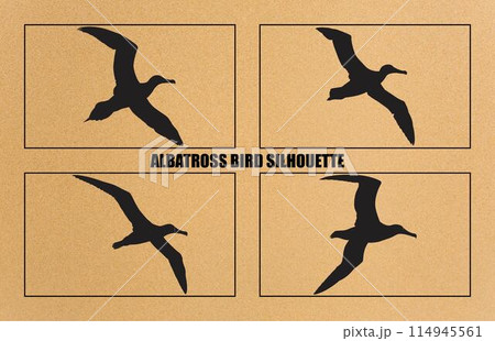 set of silhouettes of bird albatross, albatross bird silhouette vector illustration 114945561