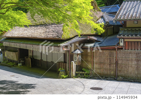 嵯峨鳥居本 茅葺き屋根の街並み つたや 嵯峨鳥居本 茅葺き屋根の街並み つたや 114945934