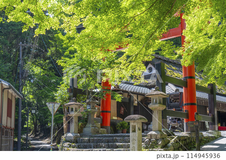 嵯峨鳥居本 愛宕神社 一の鳥居 嵯峨鳥居本 愛宕神社 一の鳥居 114945936