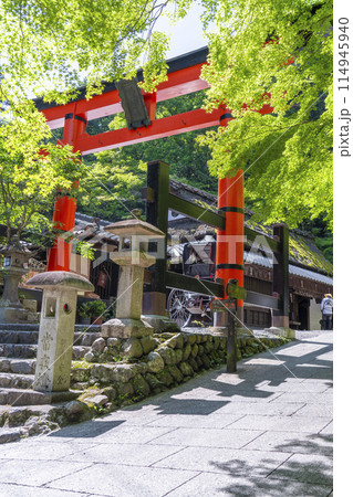 嵯峨鳥居本　愛宕神社　一の鳥居 114945940