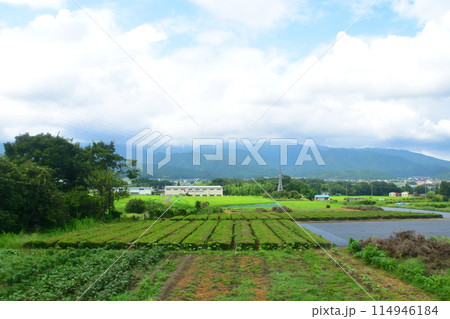 JR東海道本線米原駅から大垣駅までの車窓風景(2022年夏) 114946184