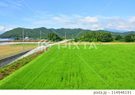 JR東海道本線米原駅から大垣駅までの車窓風景(2022年夏) JR東海道本線米原駅から大垣駅までの車窓風景(2022年夏) 114946191