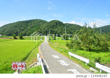 JR東海道本線米原駅から大垣駅までの車窓風景(2022年夏) JR東海道本線米原駅から大垣駅までの車窓風景(2022年夏) 114946197