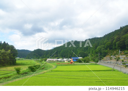 JR東海道本線米原駅から大垣駅までの車窓風景(2022年夏) 114946215