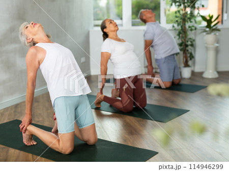 Group of elderly people doing yoga on mat in studio Group of elderly people doing yoga on mat in studio 114946299