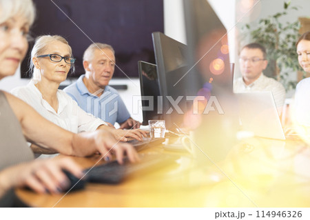 Elderly woman studying at computer course in group Elderly woman studying at computer course in group 114946326