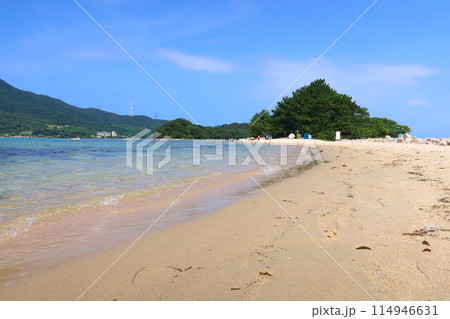 福井県水島の風景(2022年夏) 114946631