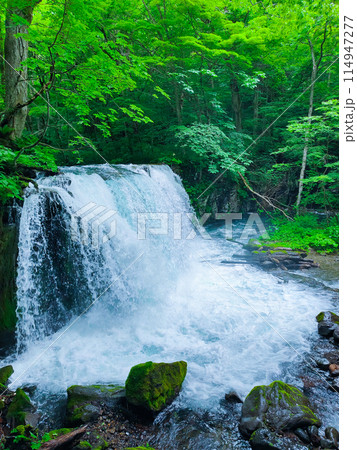 奥入瀬渓流:銚子大滝 奥入瀬渓流:銚子大滝 114947277