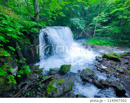 奥入瀬渓流:銚子大滝 奥入瀬渓流:銚子大滝 114947302