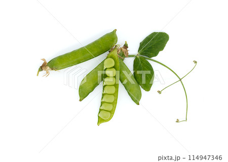 Open pea pods and green leaf isolated over white 114947346