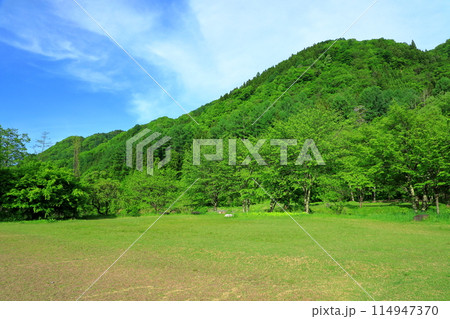白馬村　大出公園 114947370