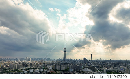 東京の風景　空撮 114947390