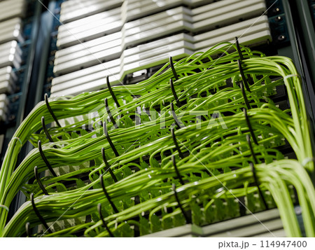 サーバーとケーブル サーバーとケーブル 114947400