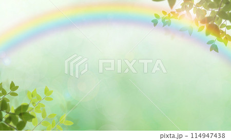 新緑と虹のさわやかな背景 新緑と虹のさわやかな背景 114947438