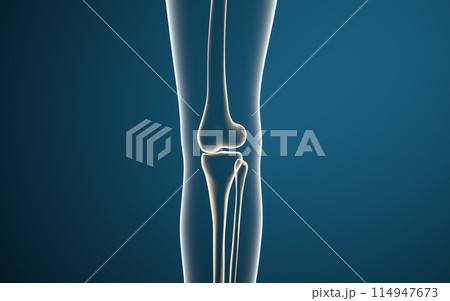 立体 3次元 3D 114947673