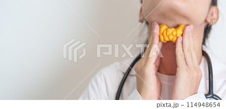 Doctor with human Thyroid anatomy model. Hyperthyroidism, Hypothyroidism, Hashimoto Thyroiditis, Thyroid Tumor and Cancer, Postpartum, Papillary Carcinoma and Health concept Doctor with human Thyroid anatomy model. Hyperthyroidism, Hypothyroidism, Hashimoto Thyroiditis, Thyroid Tumor and Cancer, Postpartum, Papillary Carcinoma and Health concept 114948654