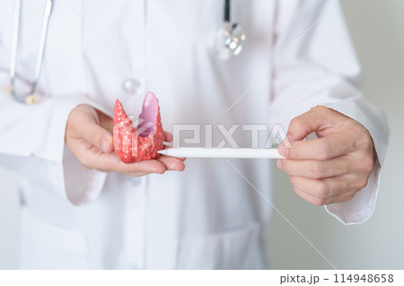 Doctor with human Thyroid anatomy model. Hyperthyroidism, Hypothyroidism, Hashimoto Thyroiditis, Thyroid Tumor and Cancer, Postpartum, Papillary Carcinoma and Health concept Doctor with human Thyroid anatomy model. Hyperthyroidism, Hypothyroidism, Hashimoto Thyroiditis, Thyroid Tumor and Cancer, Postpartum, Papillary Carcinoma and Health concept 114948658
