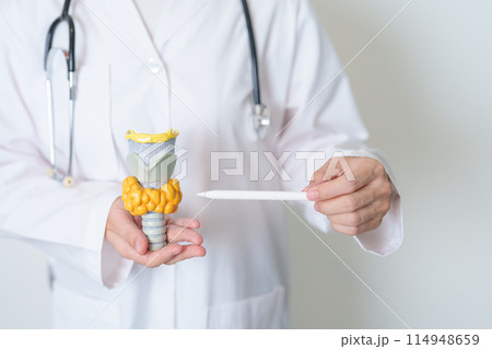 Doctor with human Thyroid anatomy model. Hyperthyroidism, Hypothyroidism, Hashimoto Thyroiditis, Thyroid Tumor and Cancer, Postpartum, Papillary Carcinoma and Health concept Doctor with human Thyroid anatomy model. Hyperthyroidism, Hypothyroidism, Hashimoto Thyroiditis, Thyroid Tumor and Cancer, Postpartum, Papillary Carcinoma and Health concept 114948659