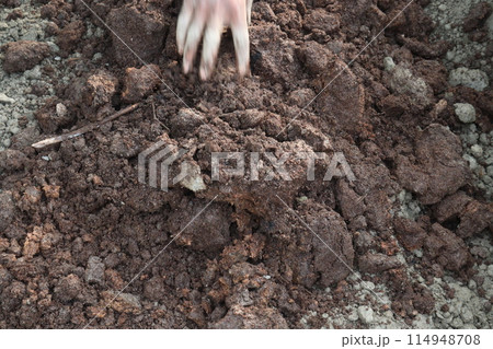 Preparing a ground nursery Bed for crops on farm Preparing a ground nursery Bed for crops on farm 114948708