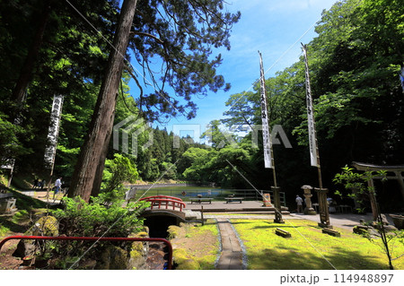 新緑の善宝寺 114948897