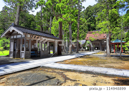 新緑の善宝寺 114948899