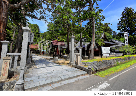 新緑の善宝寺 114948901