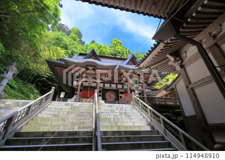 新緑の善宝寺 114948910