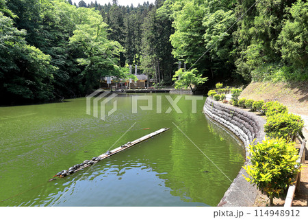新緑の善宝寺 114948912